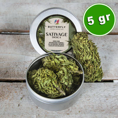 Infiorescenza Canapa BUD SATIVAGE - Formato 5 gr